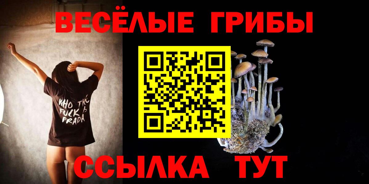 Бошки Шишки  КОКАИН  Киселёвск  ГАШ  Вход с VPN  МЕФ кристаллы 